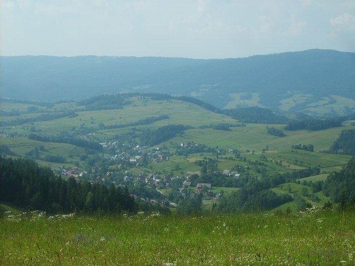 S5007804